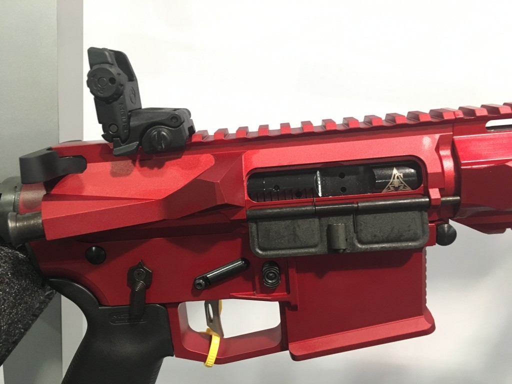 RISE red RA-313 Receiver and BCG